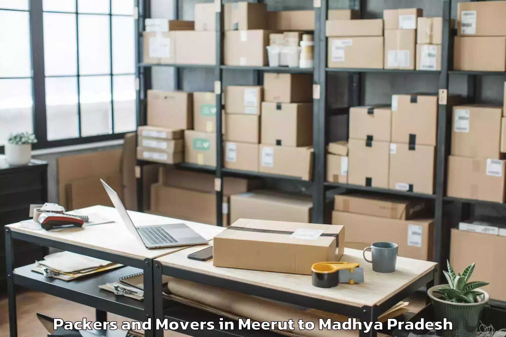 Book Meerut to Manpur Packers And Movers